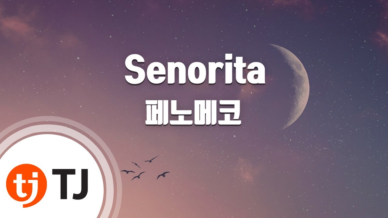 [TJ노래방] Senorita - 페노메코(Feat.나플라) / TJ Karaoke