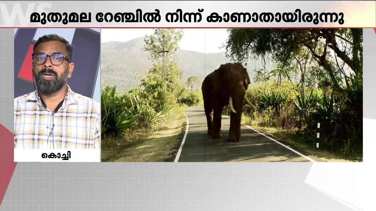 നീലഗിരിയുടെ സെലിബ്രിറ്റി  കൊമ്പൻ റിവാൾഡോ ചരിഞ്ഞു