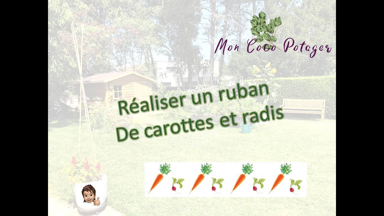 Réaliser des rubans de Carottes et Radis