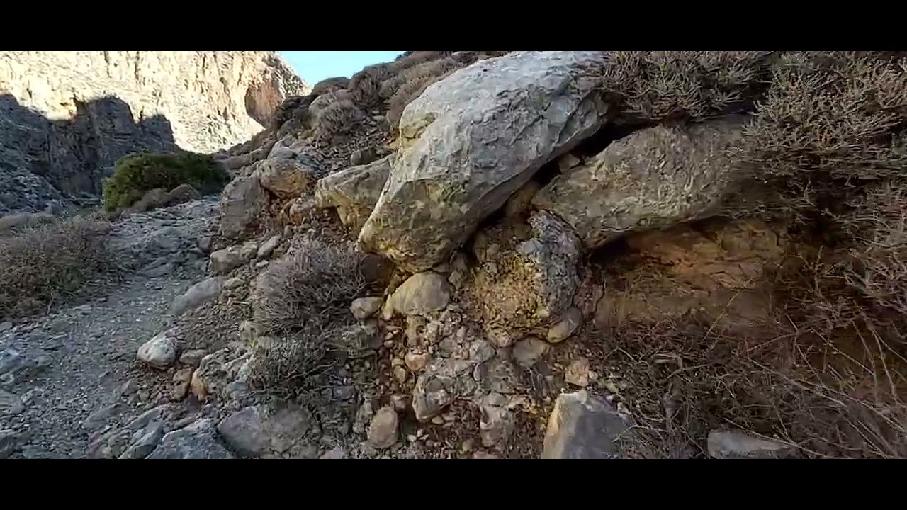 Pervolakia Gorge, on the edge of the chasm, Sitia Geopark, south-east Crete - Nov 2025, part 5