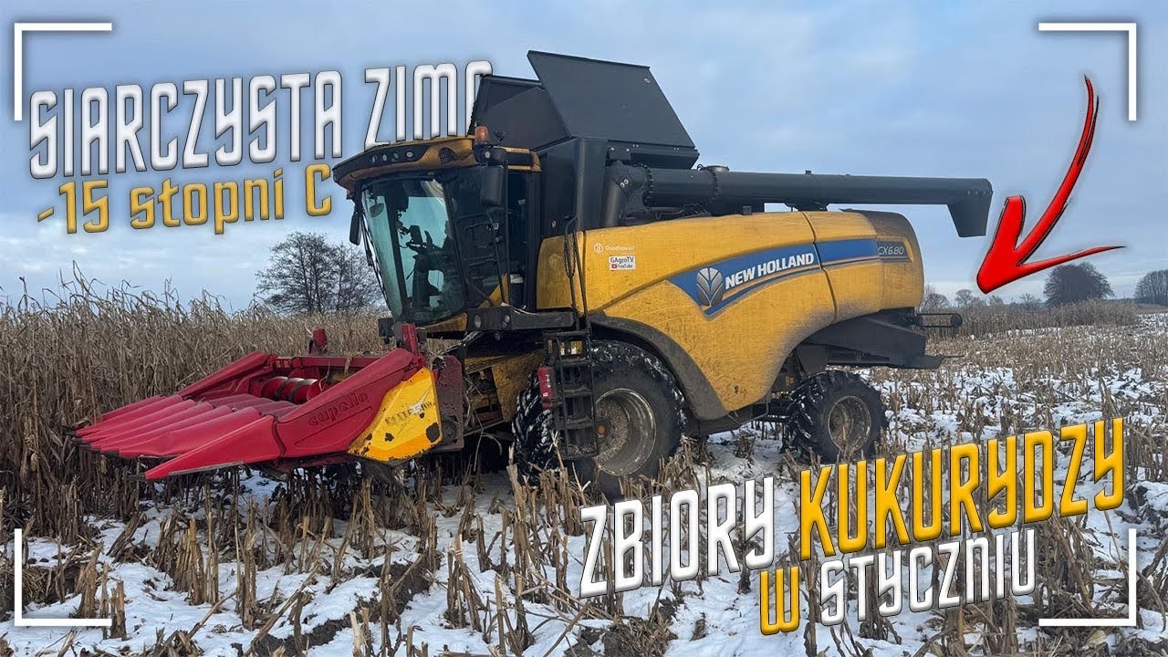 Kukurydza 2026: Styczniowe Koszenie Bagien – Czas na Zbiory! [vlog#279]