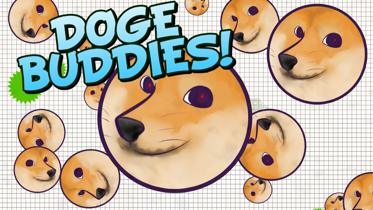 DOGE BUDDIES! & COMEBACK MONTAGE - Agario