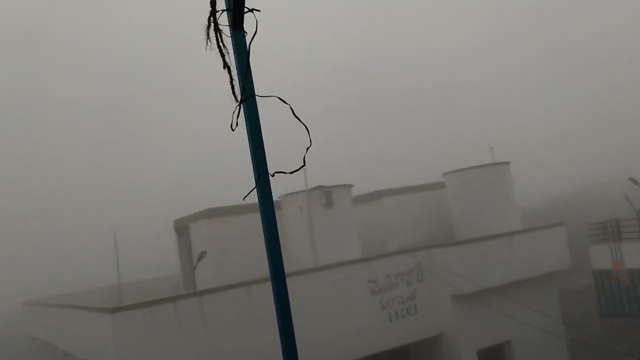 jani house
