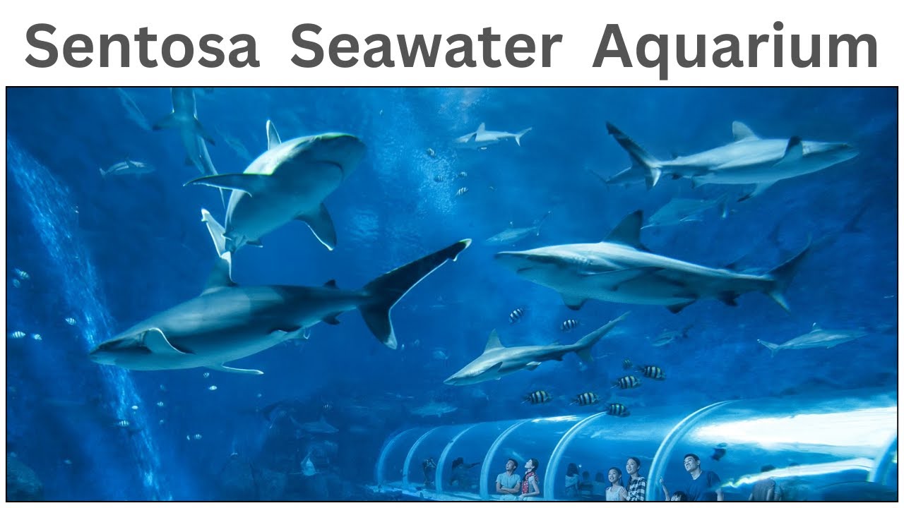 Sentosa S.E.A. Aquarium