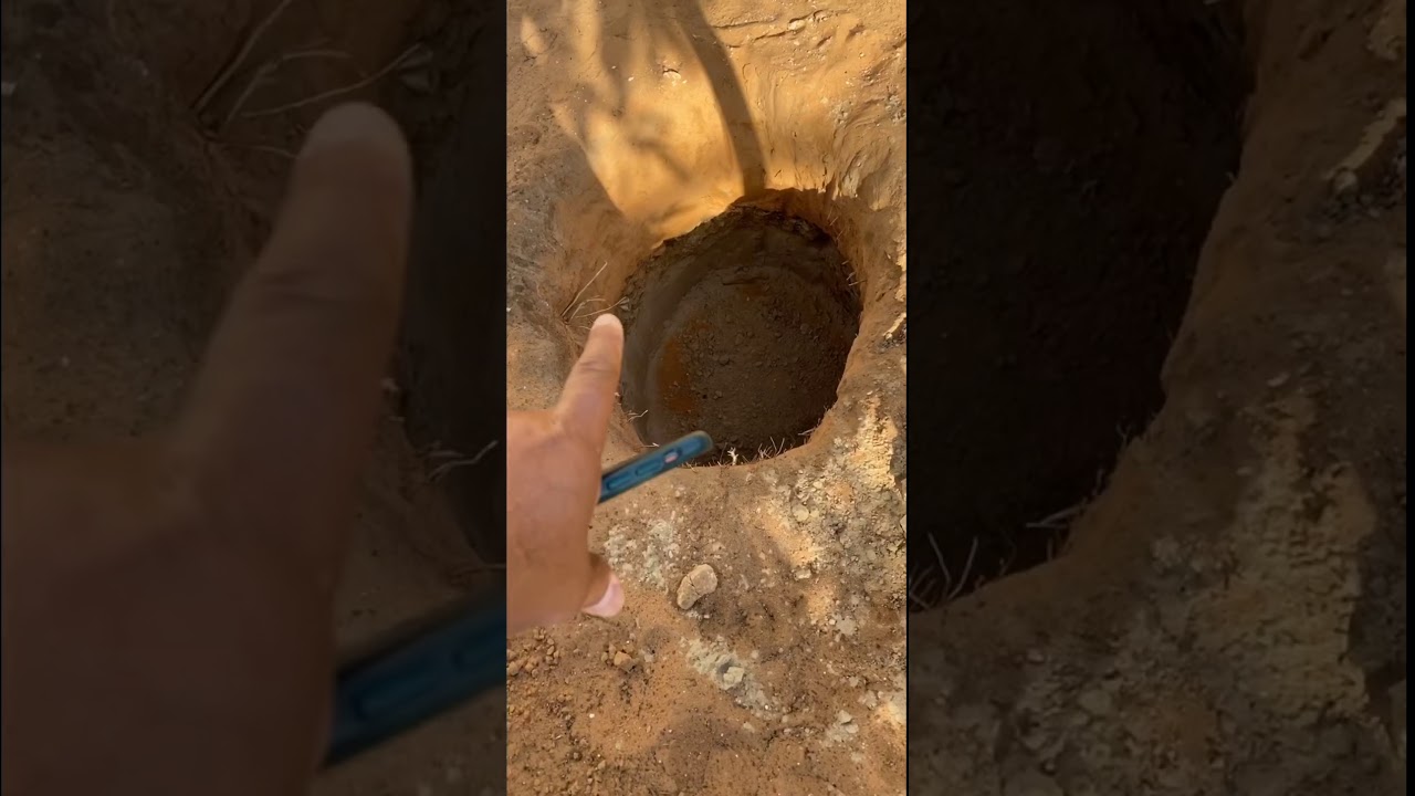 خالد الخالدي كيفية إعداد الأرض قبل زراعة أي نوع من أنواع الأشجار