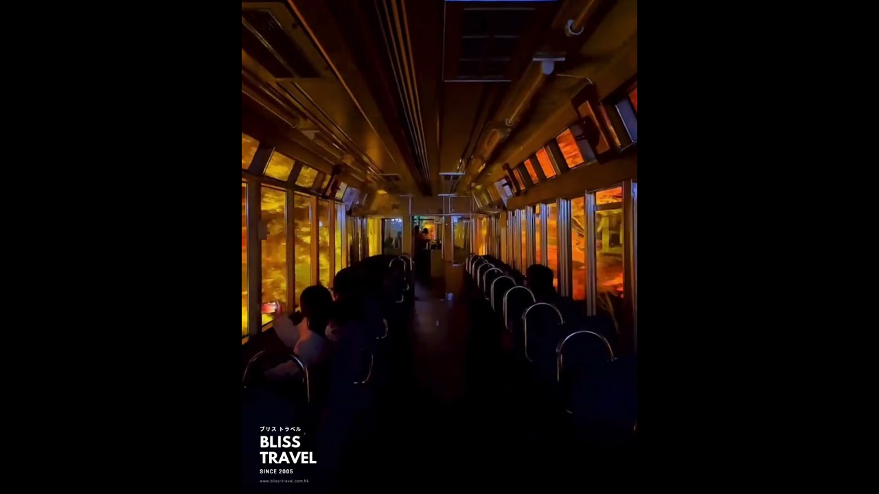 Ride the Eizan Railway 🚋 into a World of Autumn Magic! 🍁 
