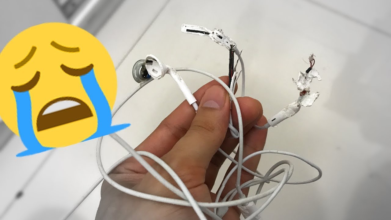 MEU CACHORRO COMEU O MEU FONE 😭😭😭