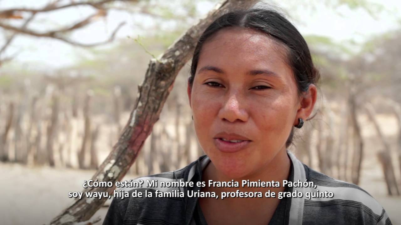 Documental Proyecto Tecnologías Móviles Uniguajira