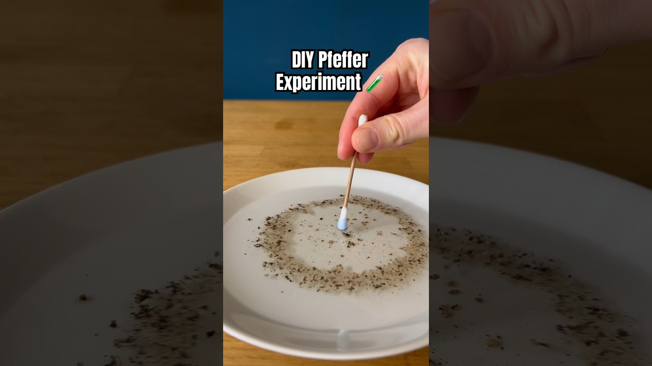 DIY Pfeffer Experiment #kindergarten #kidscrafts #experiment #diy #forkids #funforkids #forkids