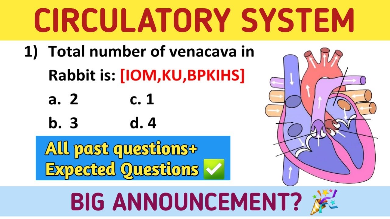 Circulatory System - Everything you need to know before IOM, KU, BPKIHS ENTRANCE!🤯😍