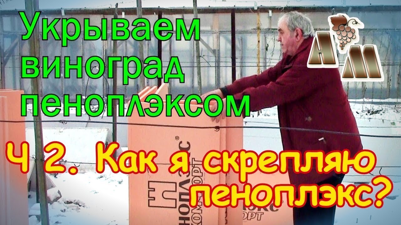 🍇 Зимнее укрытие винограда пеноплэксом - 2. Как я скрепляю пеноплэкс
