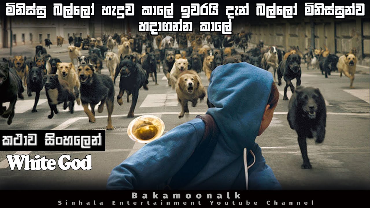 මිනිස්සු බල්ලෝ හැදුව කාලේ දැන් ඉවරයි දැන් බල්ලෝ මිනිස්සුන්ව හදාගන්න කාලේ  dog lover movie in sinhala