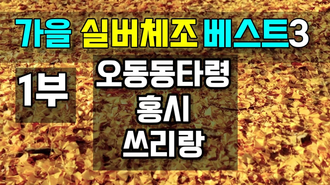 [실버체조]가을맞이 실버체조영상 모음 1부