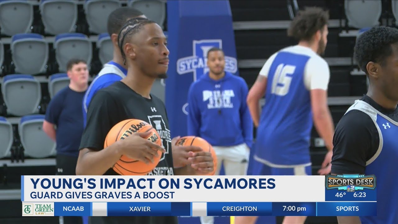 Young's Impact On Sycamores