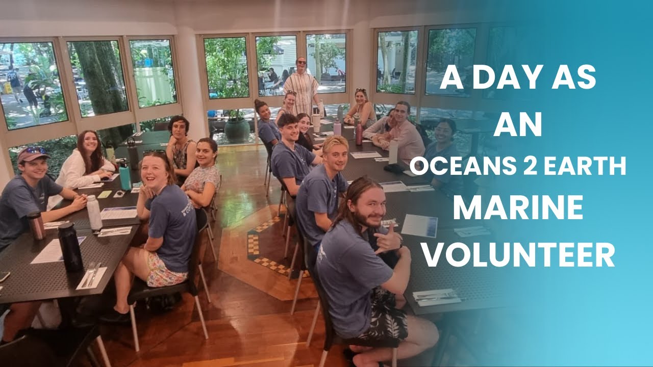 🌊Day in the life of a Marine Conservation Volunteer with Oceans 2 Earth Volunteers