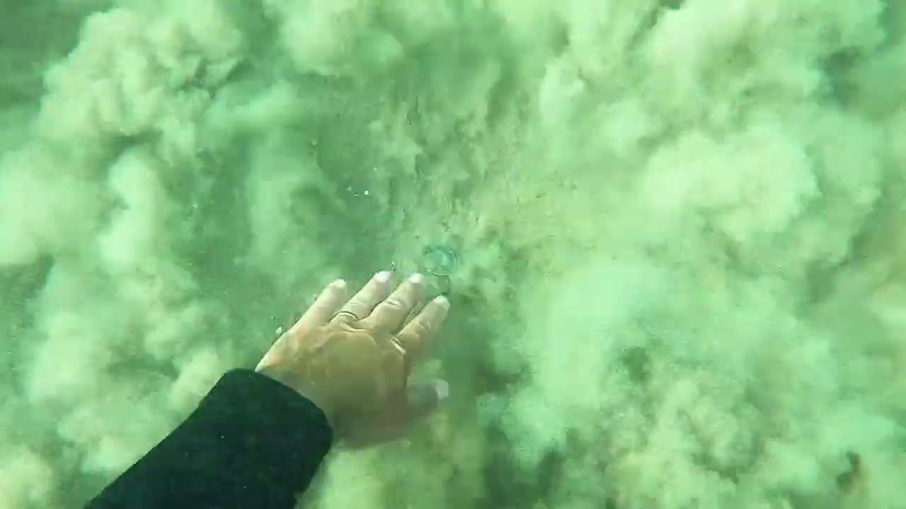 🌊💍 Metal Detecting Underwater: Finds Hidden Treasure!