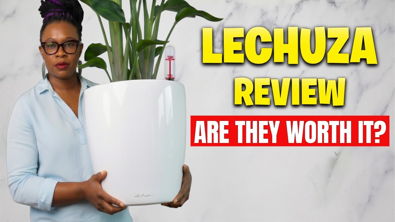 I Tested Lechuza Pots for Semi-Hydro & Here's What Happened