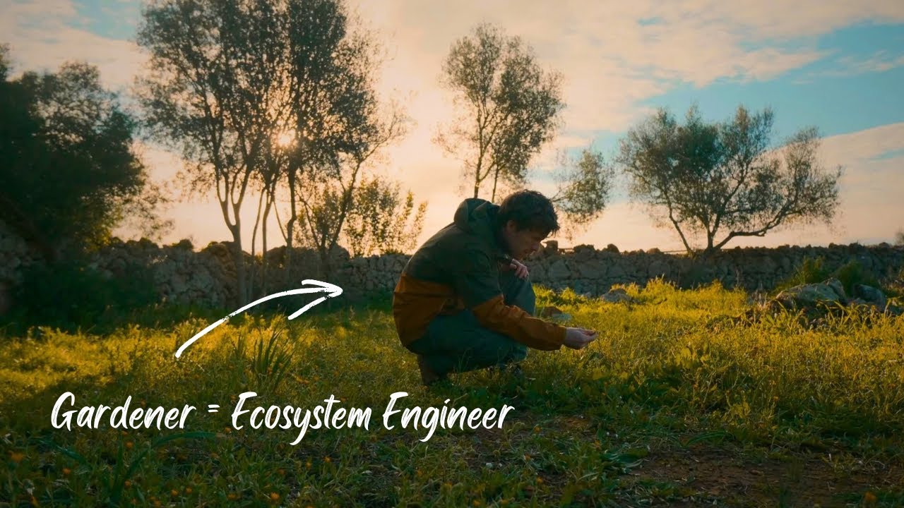 Disturbance Creates Living Landscapes: Field Notes #7 | Regenerative Gardening | Rewilding