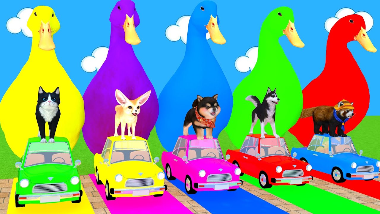 Long Slide Game With Cow Elephant Gorilla Hippopotamus Tiger 3d Animal Game Funny 3d Animals