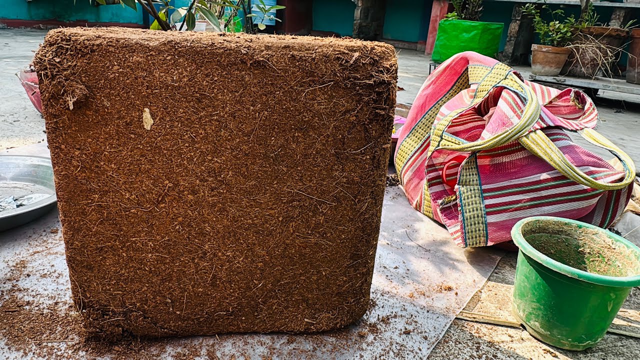 কোকোপিট ব্লক ব্যবহারের সঠিক নিয়ম || Cocopeat block proper usage tricks & tips to grow healthy plants