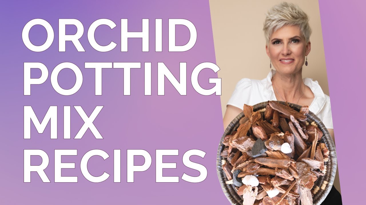 Orchid Potting Mix Recipes