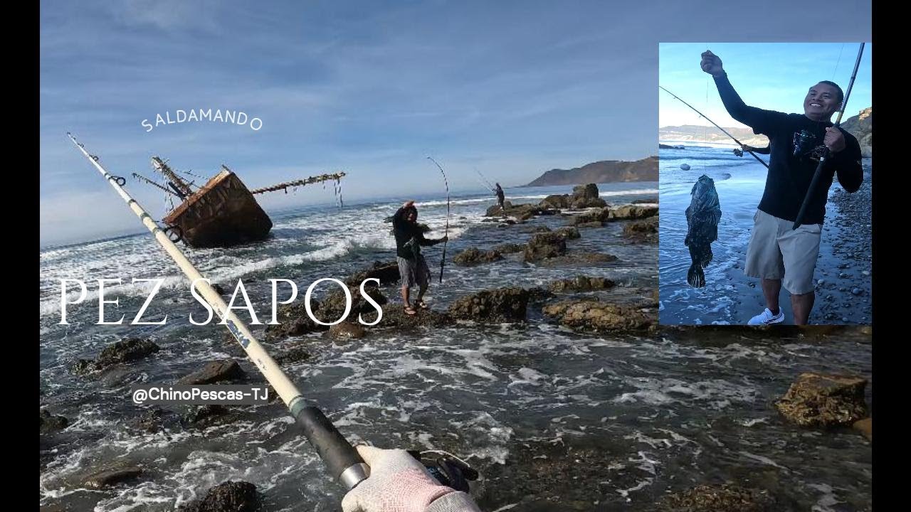 Barco encallado Vicmar, Te sorprenderas de las buenas capturas que se dan Aqui
