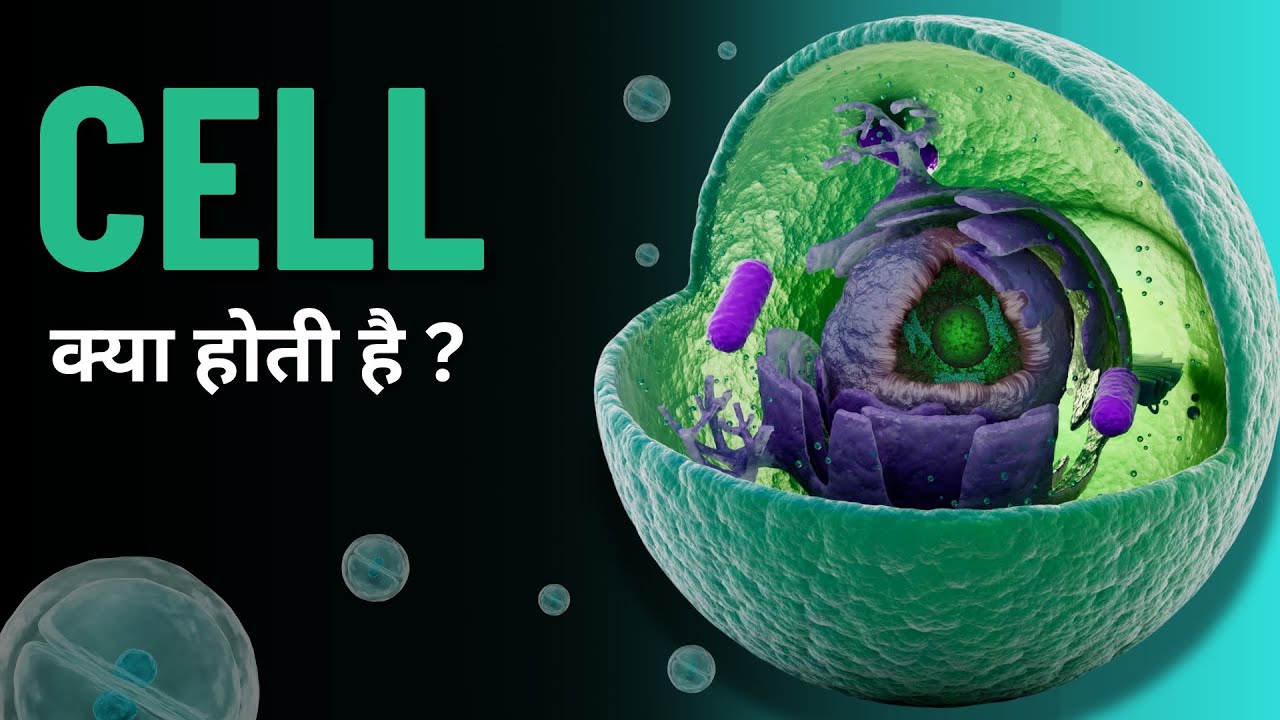 Cell kya hoti hai? | Biology in Hindi