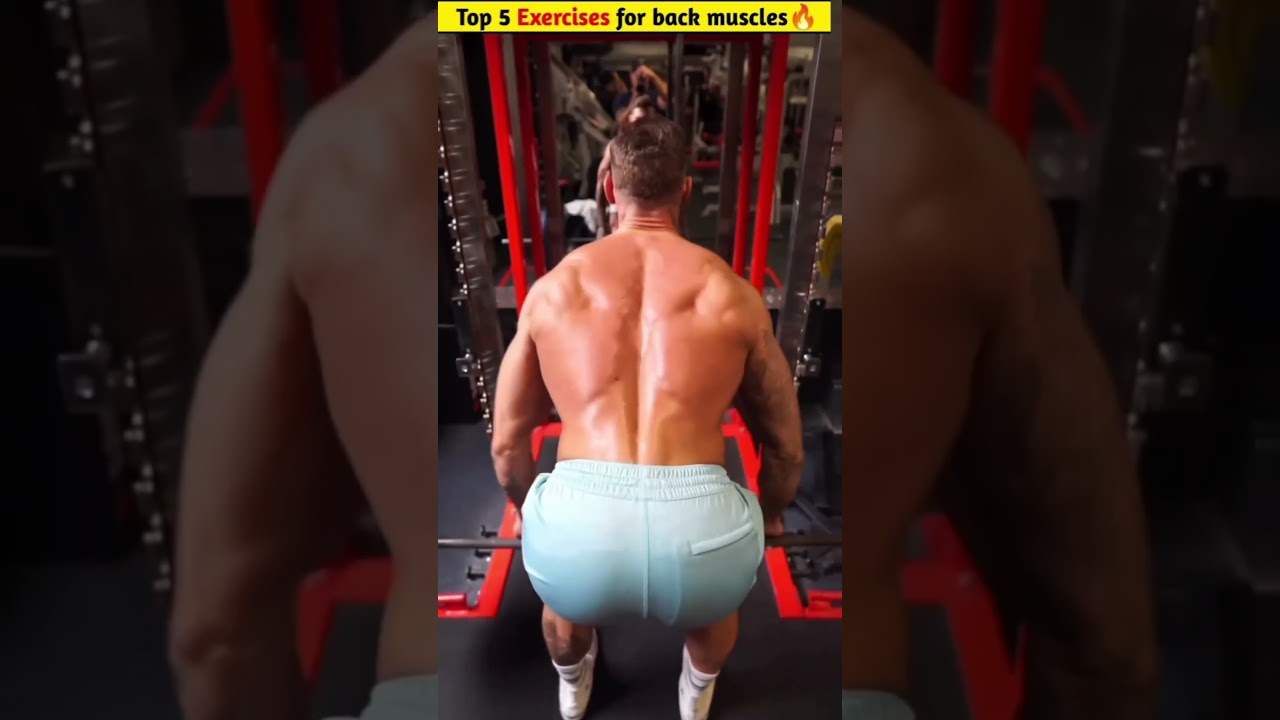 top 5 excire for back💪💪💪