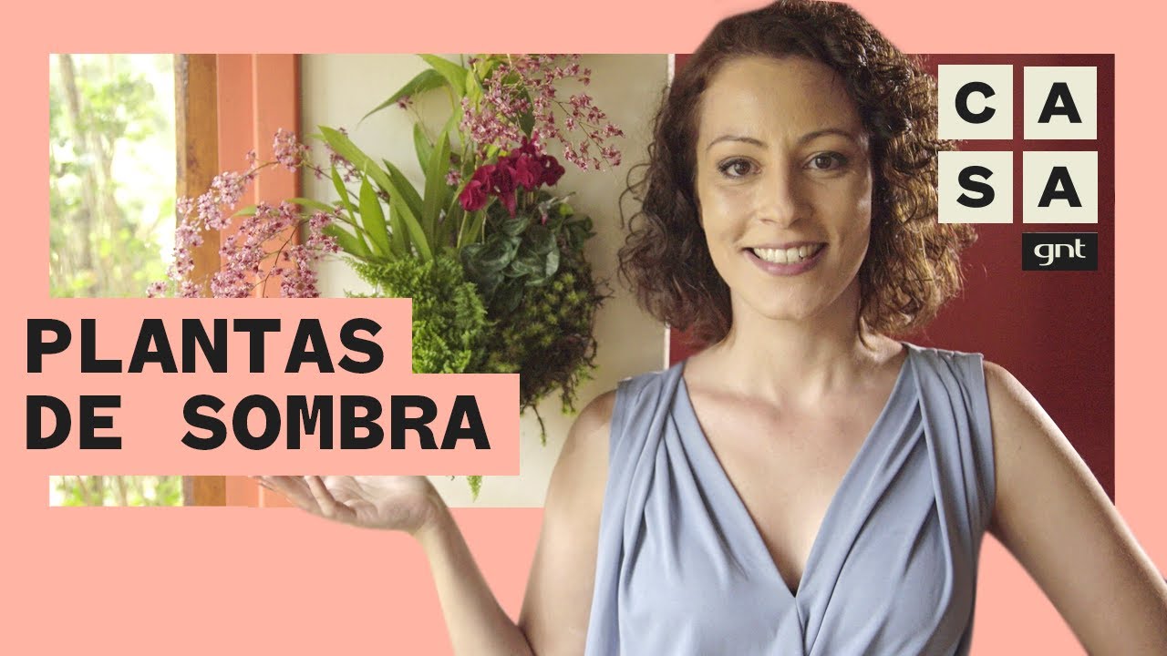 PLANTAS DE SOMBRA: saiba como cultivar flores dentro de casa | Plante Você Mesmo | Carol Costa