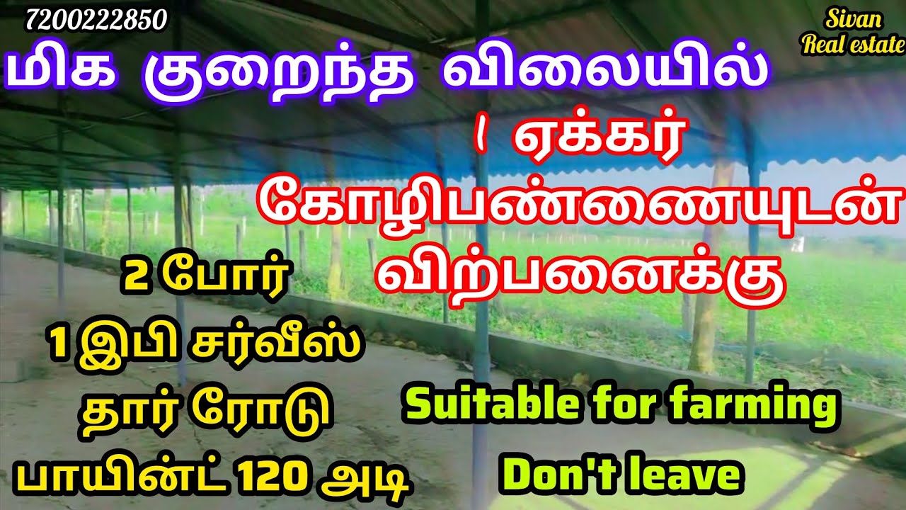 மிக குறைந்த விலையில் 1 ஏக்கர் நிலம் கோழிபண்ணையுடன் விற்பனைக்கு தென்காசி மாவட்டம் சங்கரன்கோவில் 
