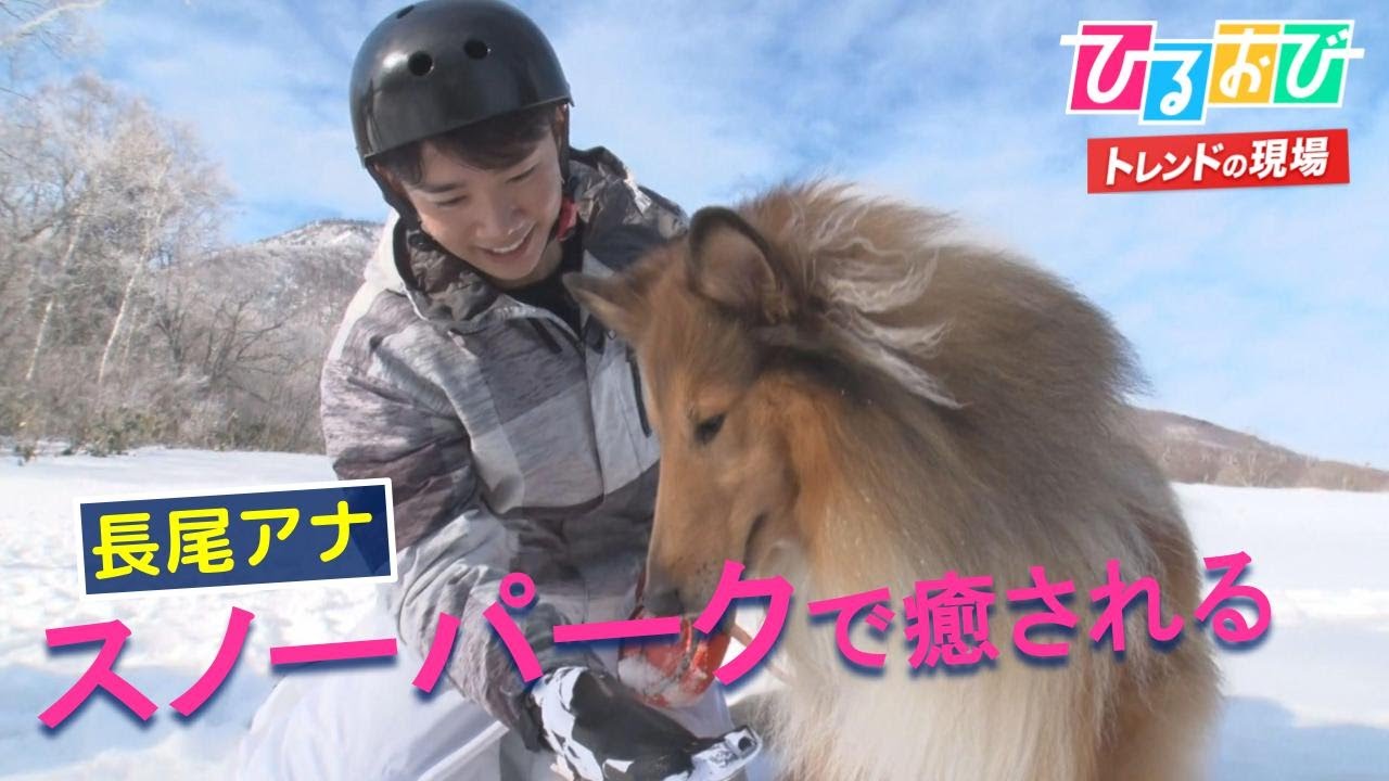 【ひるおび】長尾アナ・スノーパークで癒され企画！石打丸山スキー場・ヴェランダ石打丸山・黒姫高原スノーパーク