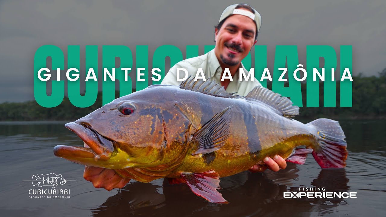 CURICURIARI RIO DE GIGANTES - #fishingexperiencebr