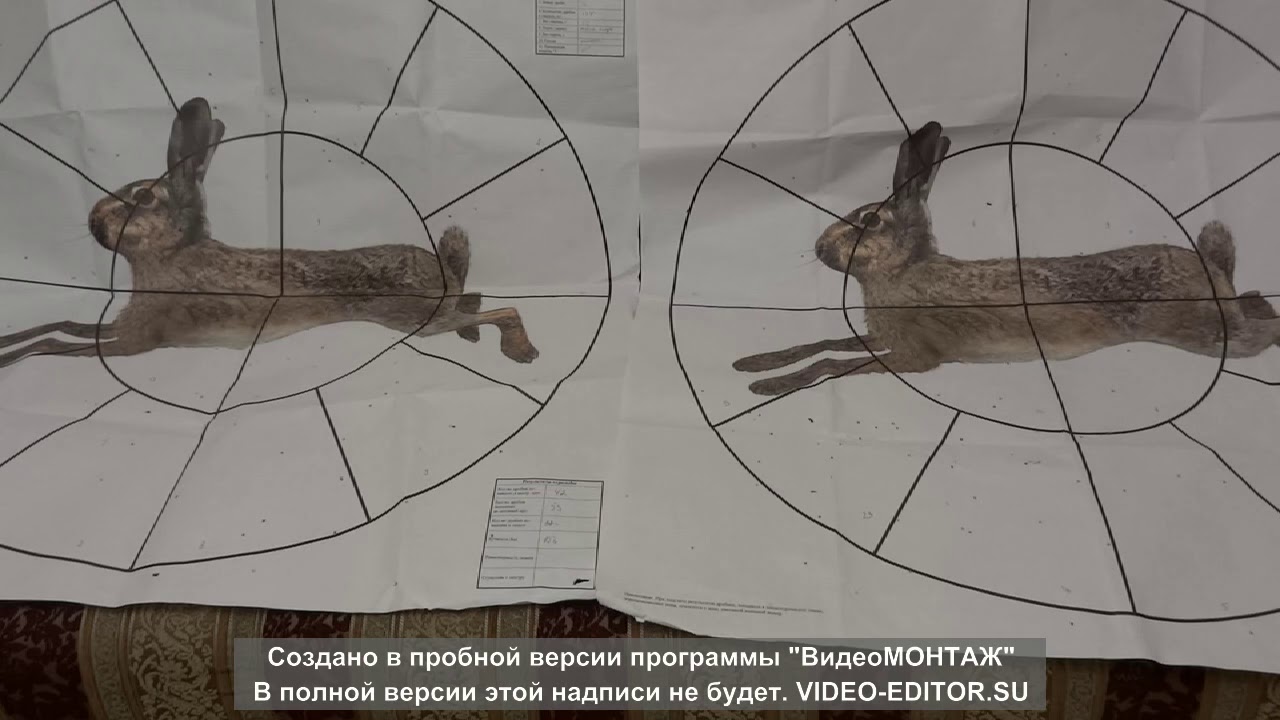 ИЖ-54 vs Stoeger 2000. Мой тест.
