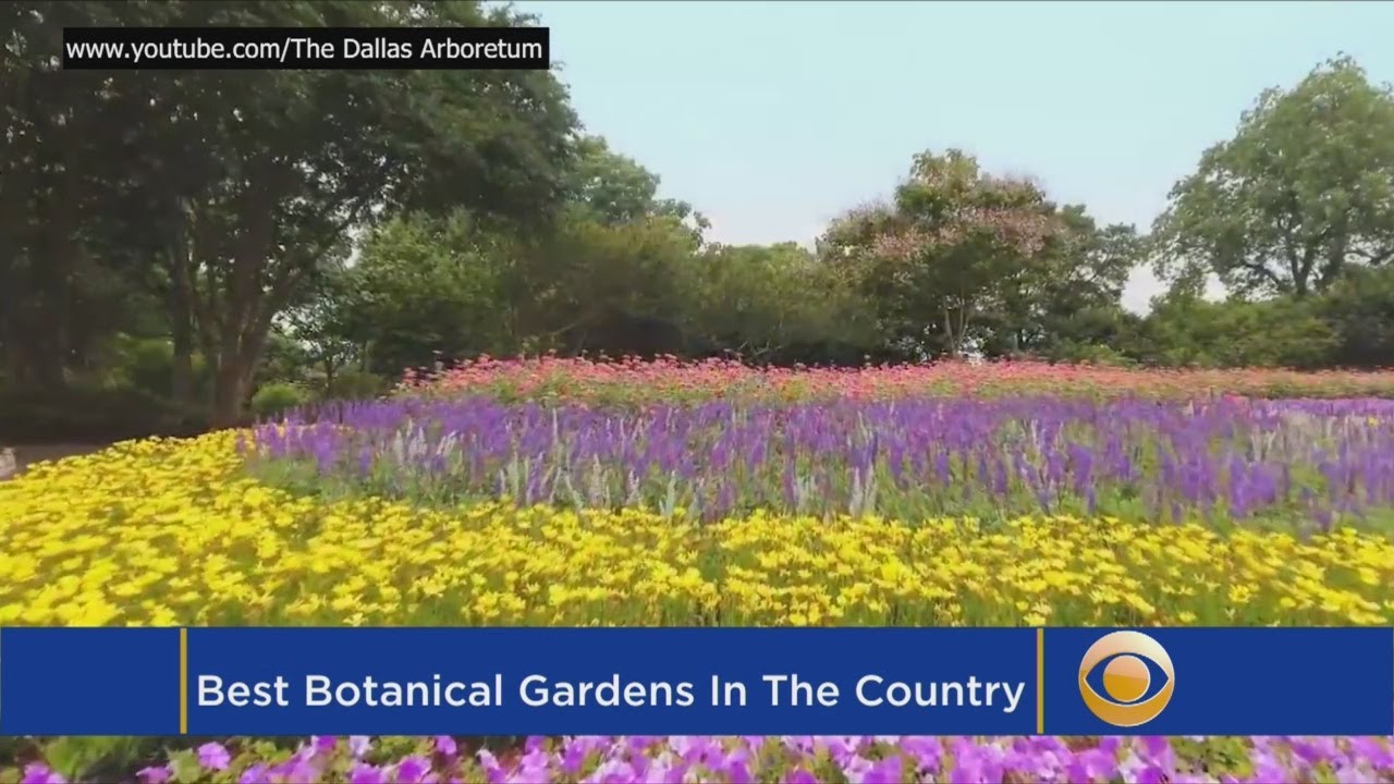 Celebrate Spring: America's Most Beautiful Botanical Gardens