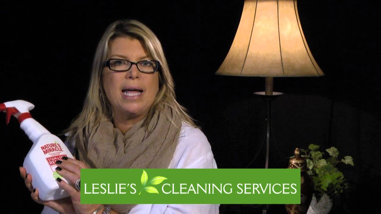 How To Remove Urine Stain and Odor   Leslie Power  lesliescleaningservices.com