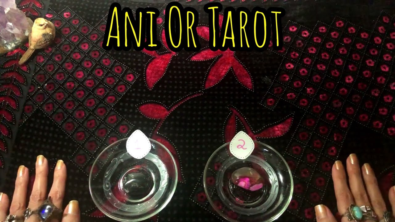 COMO O ELE (EX) ESTÁ SE SENTIDO NO RELACIONAMENTO COM A RIVAL? Baralho Cigano Tarot