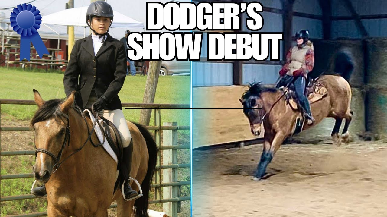 This Horse Has Completely Changed Since The Auction