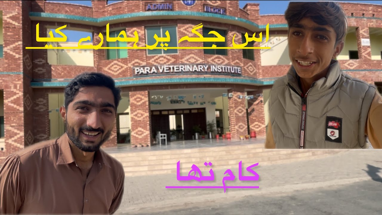 یہ کون سا کالج ہے 