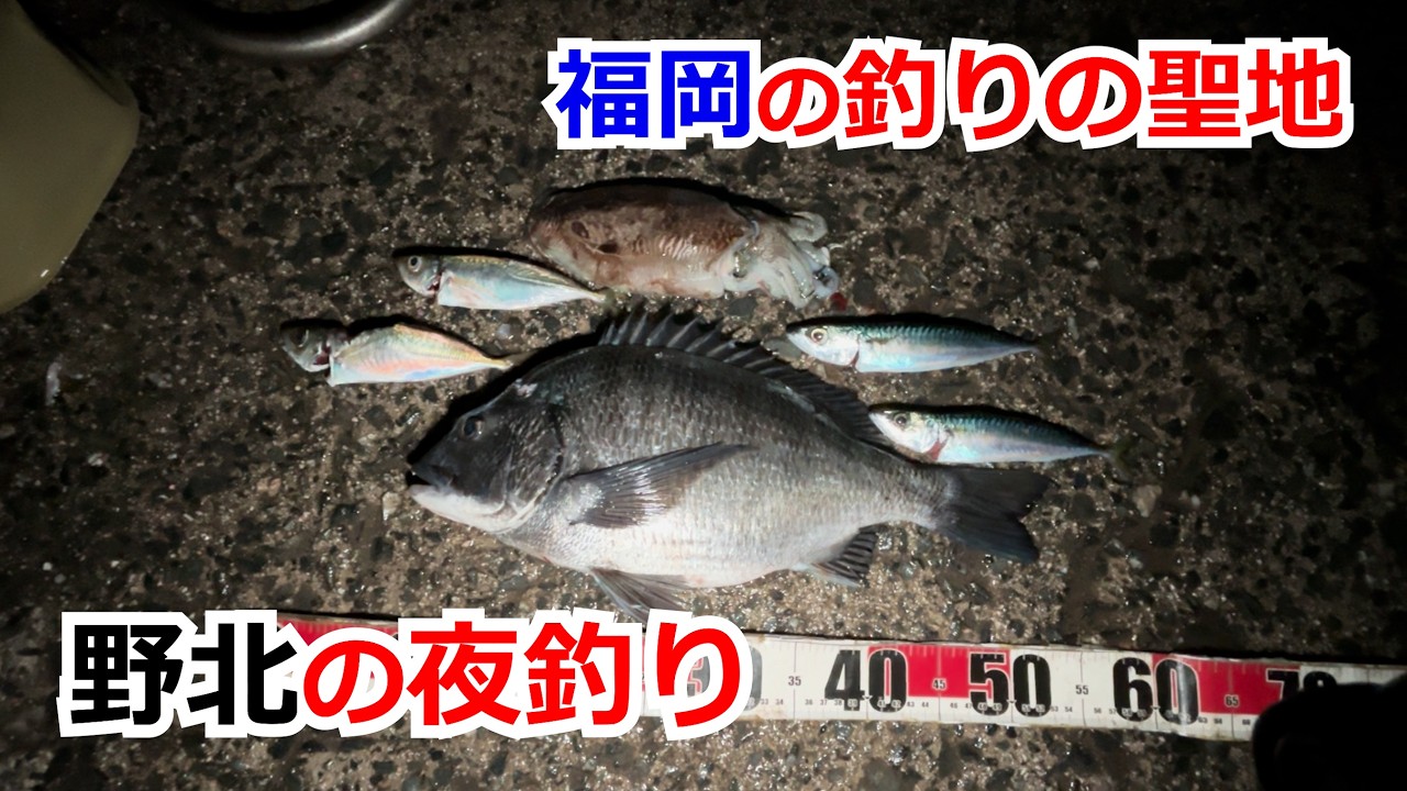 2026年3月中旬　福岡県　野北漁港　釣行