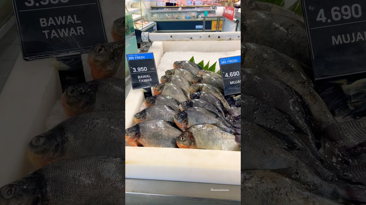aneka ikan segar yang ada di lotte mart #lottemart #ikansegar #jalanjalan #shorts #youtubeshorts