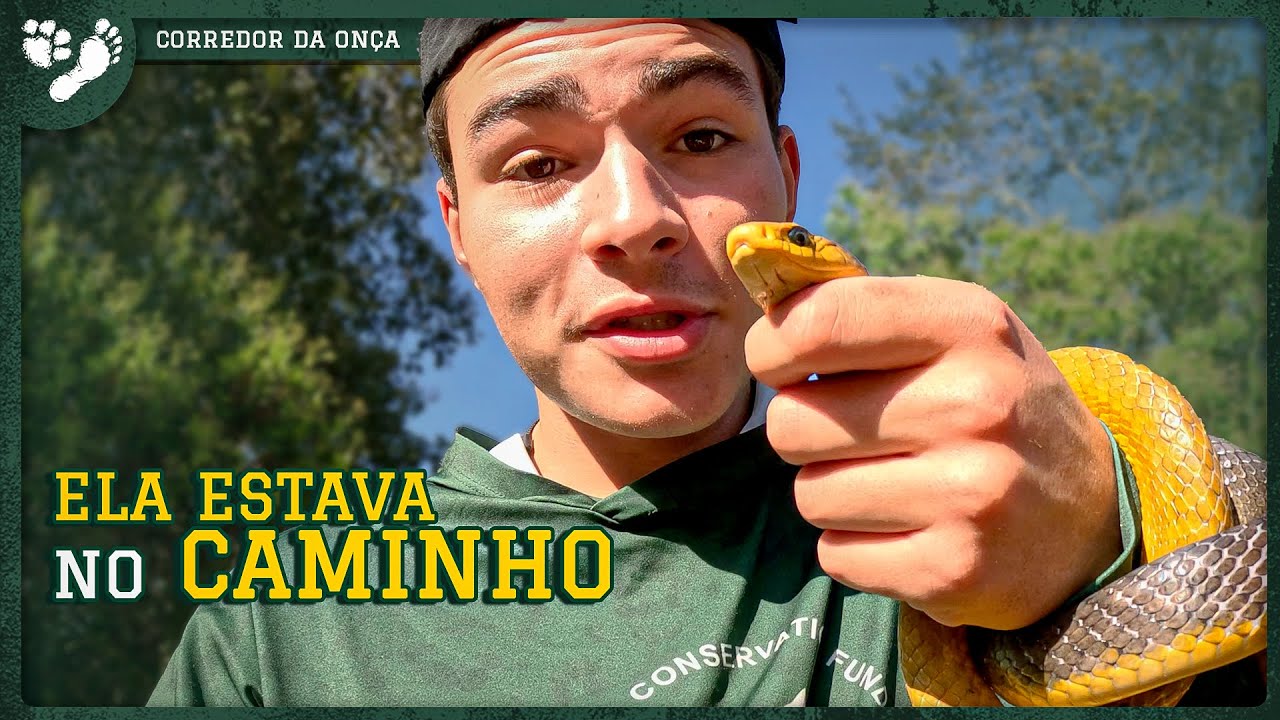 Expedição pelo Corredor da Onça | Ep. 01