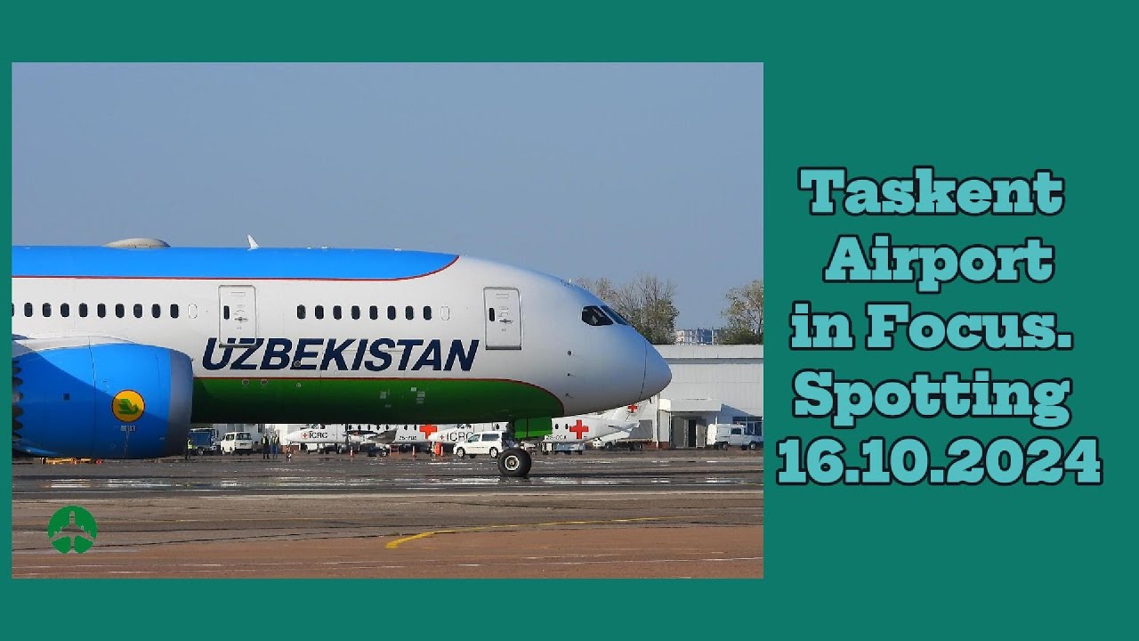 Tashkent Airport in focus. Day Spotting 16.10.2024