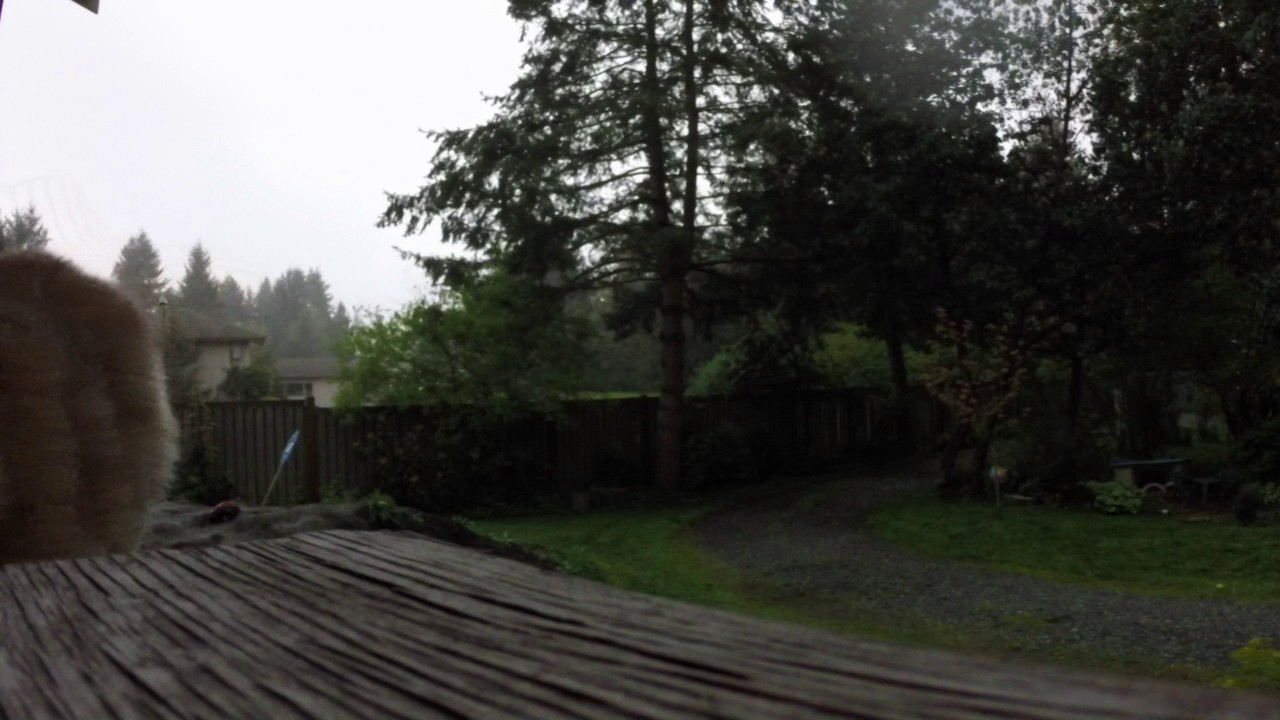 Severe Thunderstorm 5/4/2017 - Lacey, WA area
