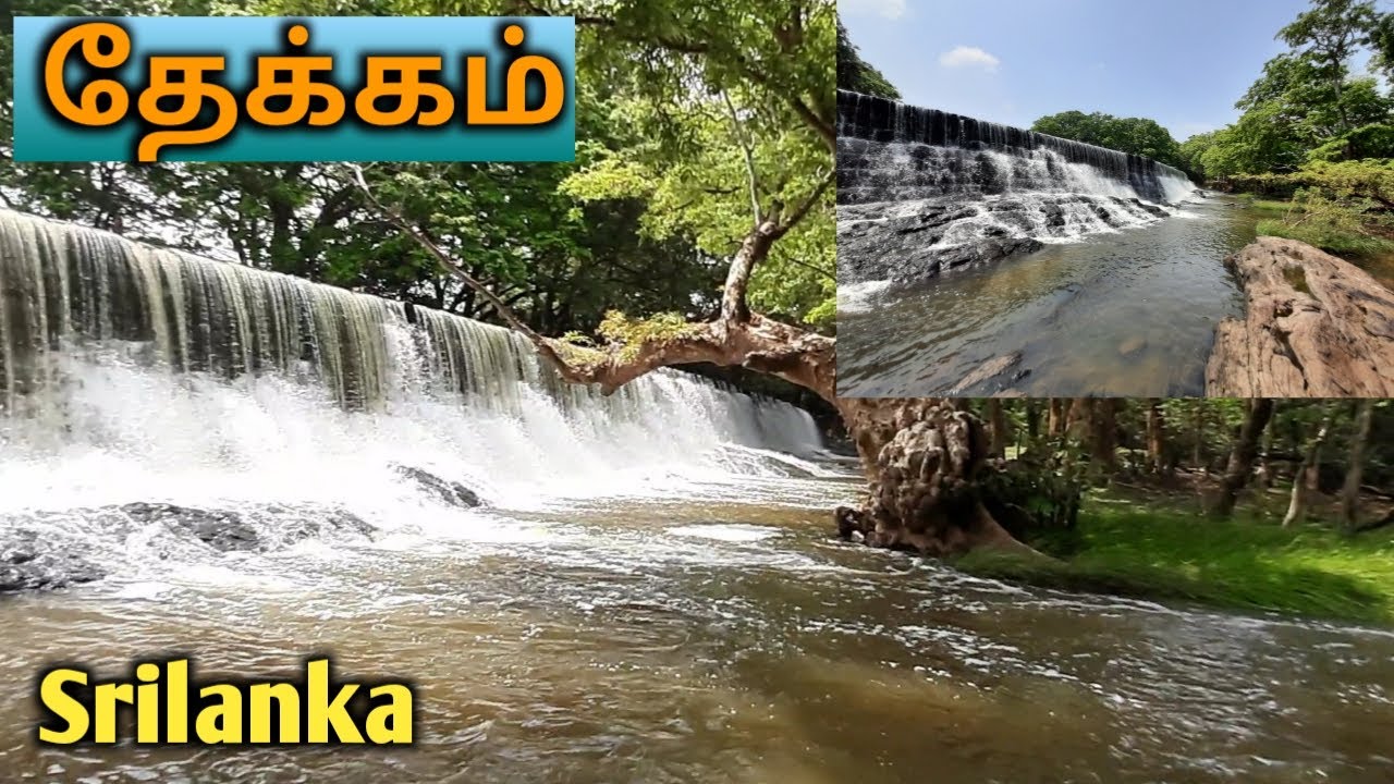 தேக்கம் | kunchukulam | Srilanka | Mannar | sltamil vlog | Rosin's view