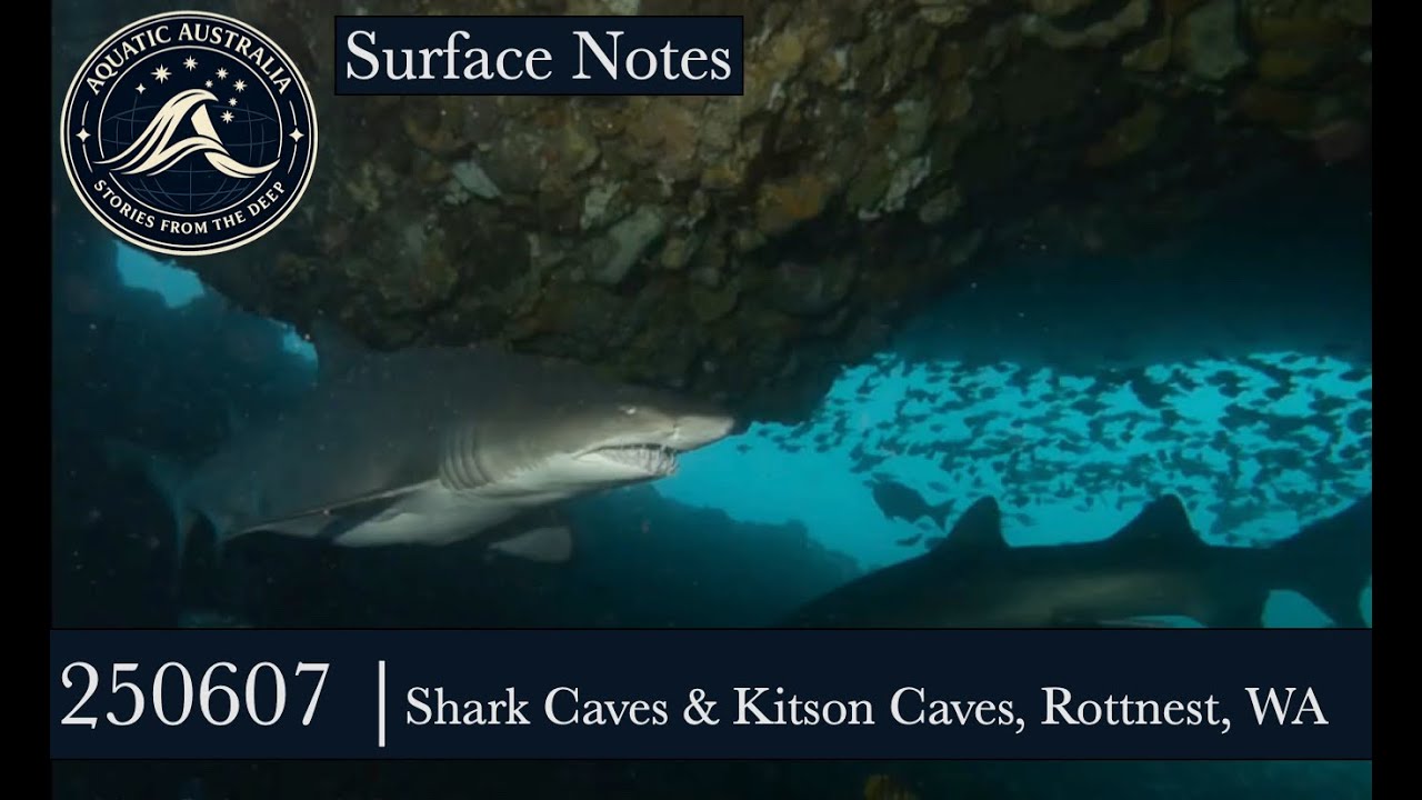 250607   Shark Cave and Kitson Caves