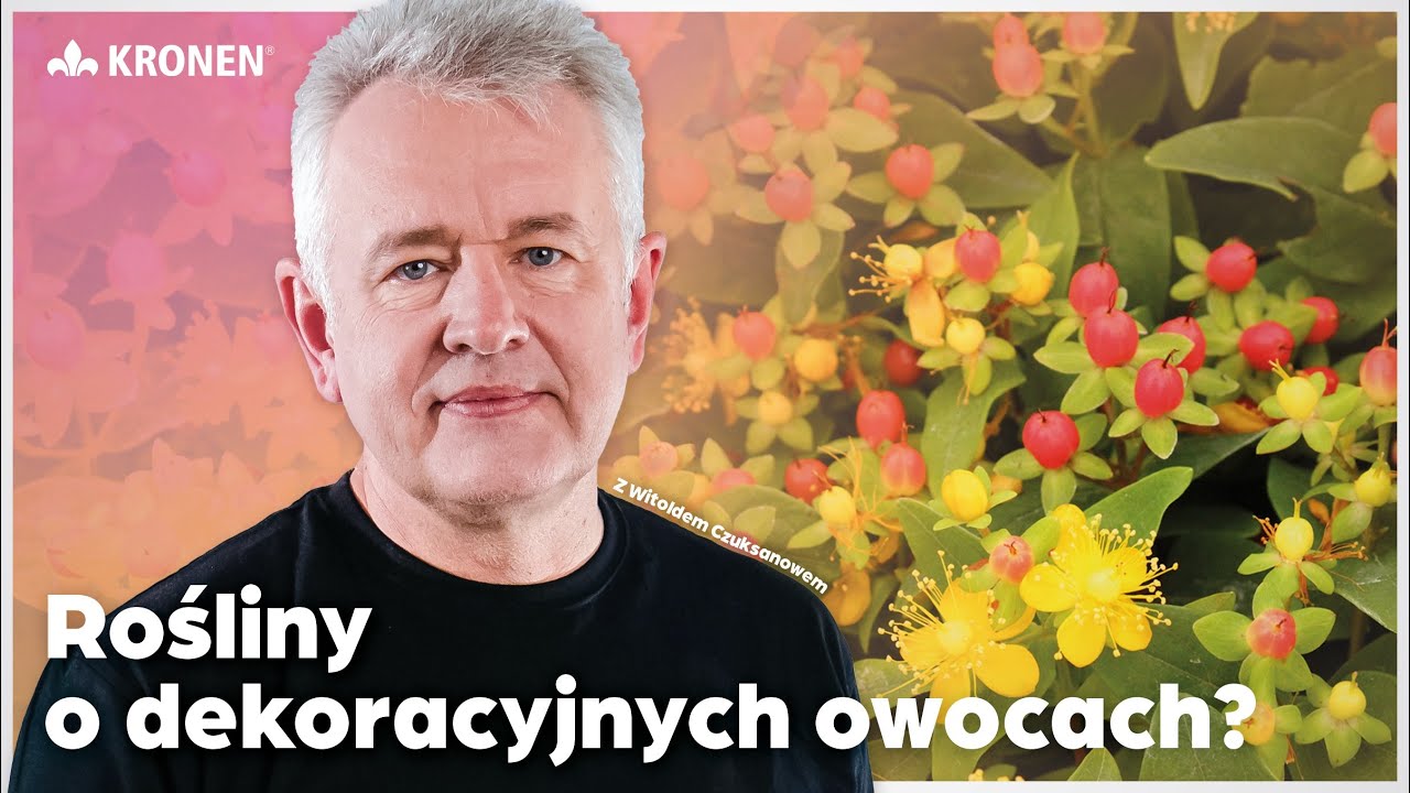 KRONEN 2025 - Rośliny o dekoracyjnych owocach