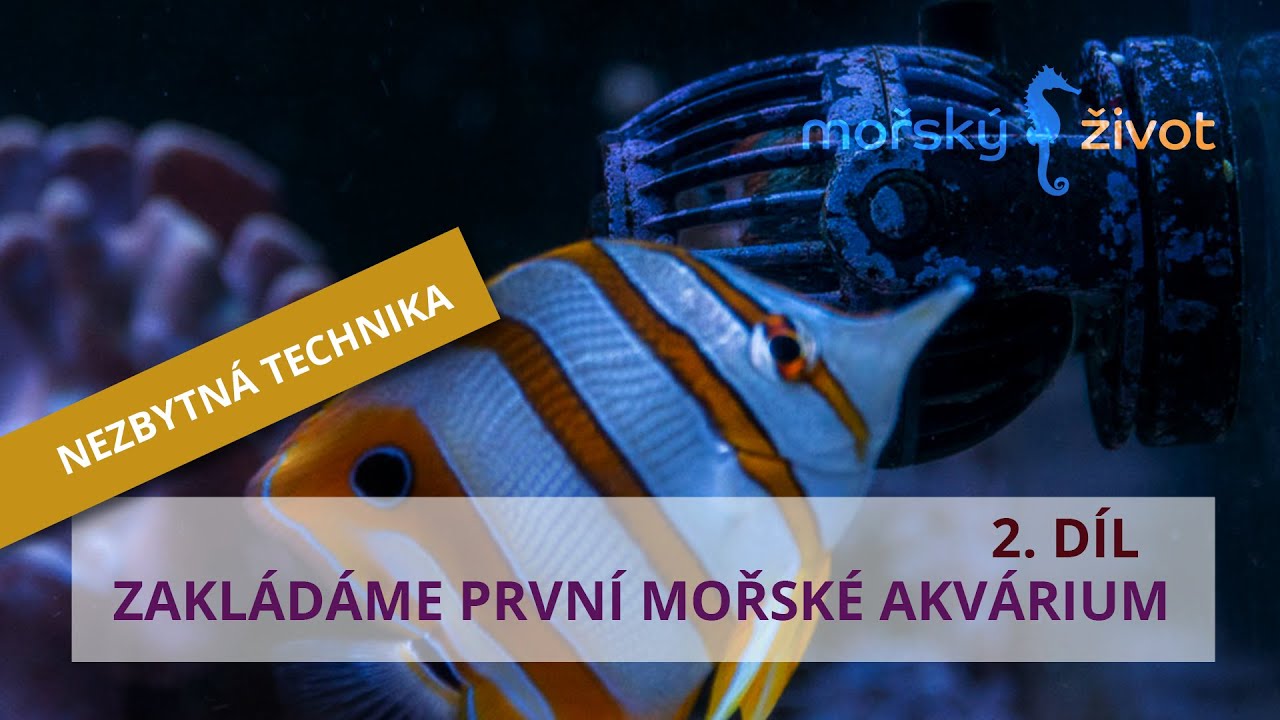 Zakládáme první mořské akvárium - 2. díl / nezbytná technika