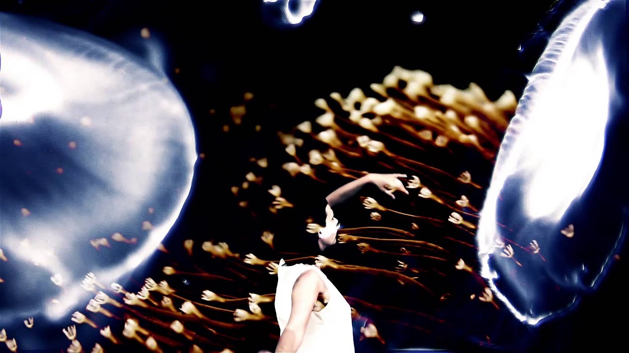 Laetitia Sadier 