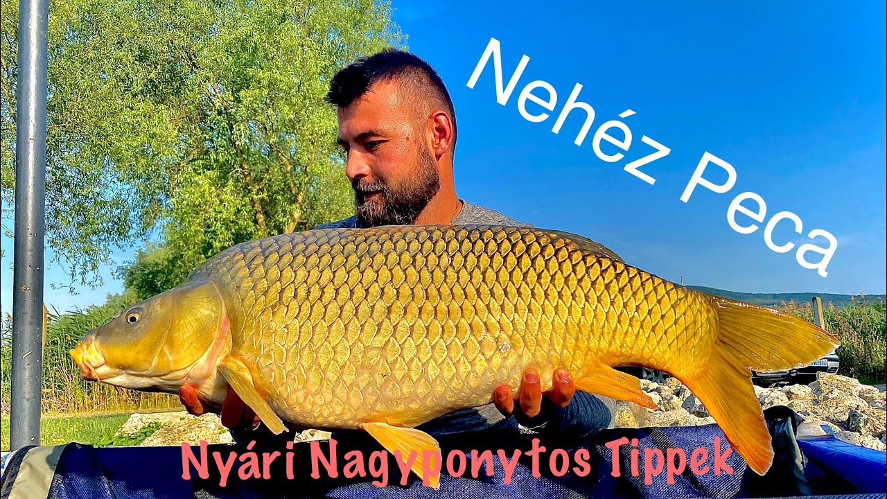 Nyári Horgászat kánikulában a Tokaji Nomád Tavon.