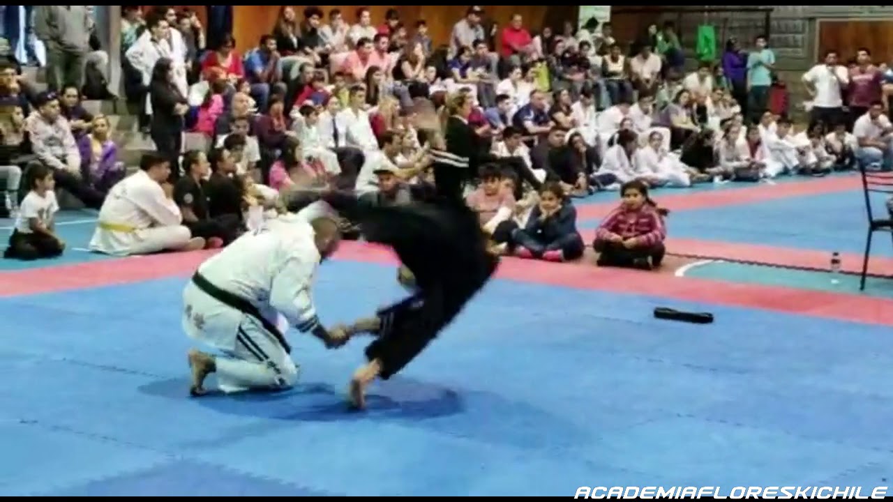 Presentaci&oacute;n Hapkido Moo Moo Kwan Chile Abril 2018